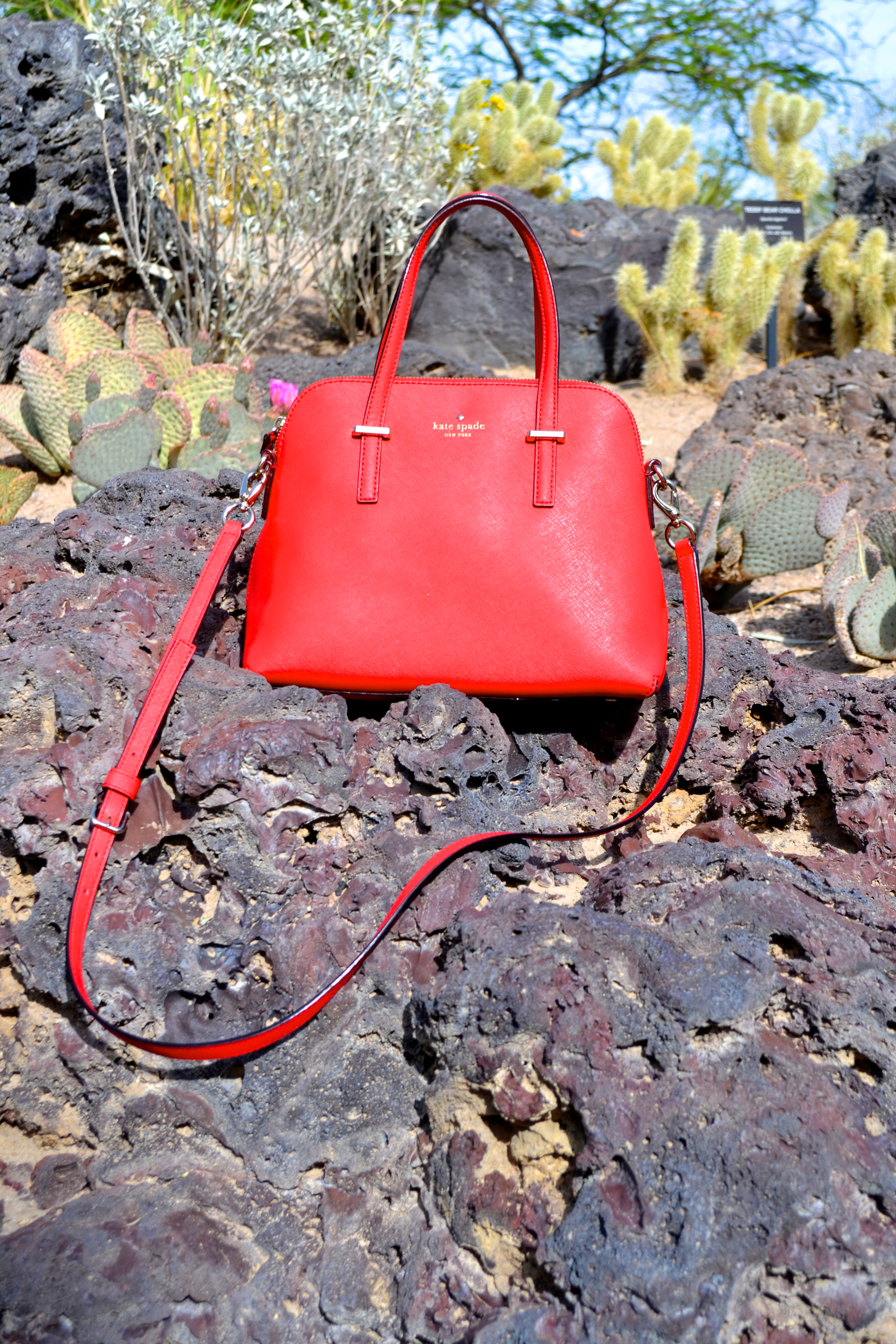Kate Spade in the Desert