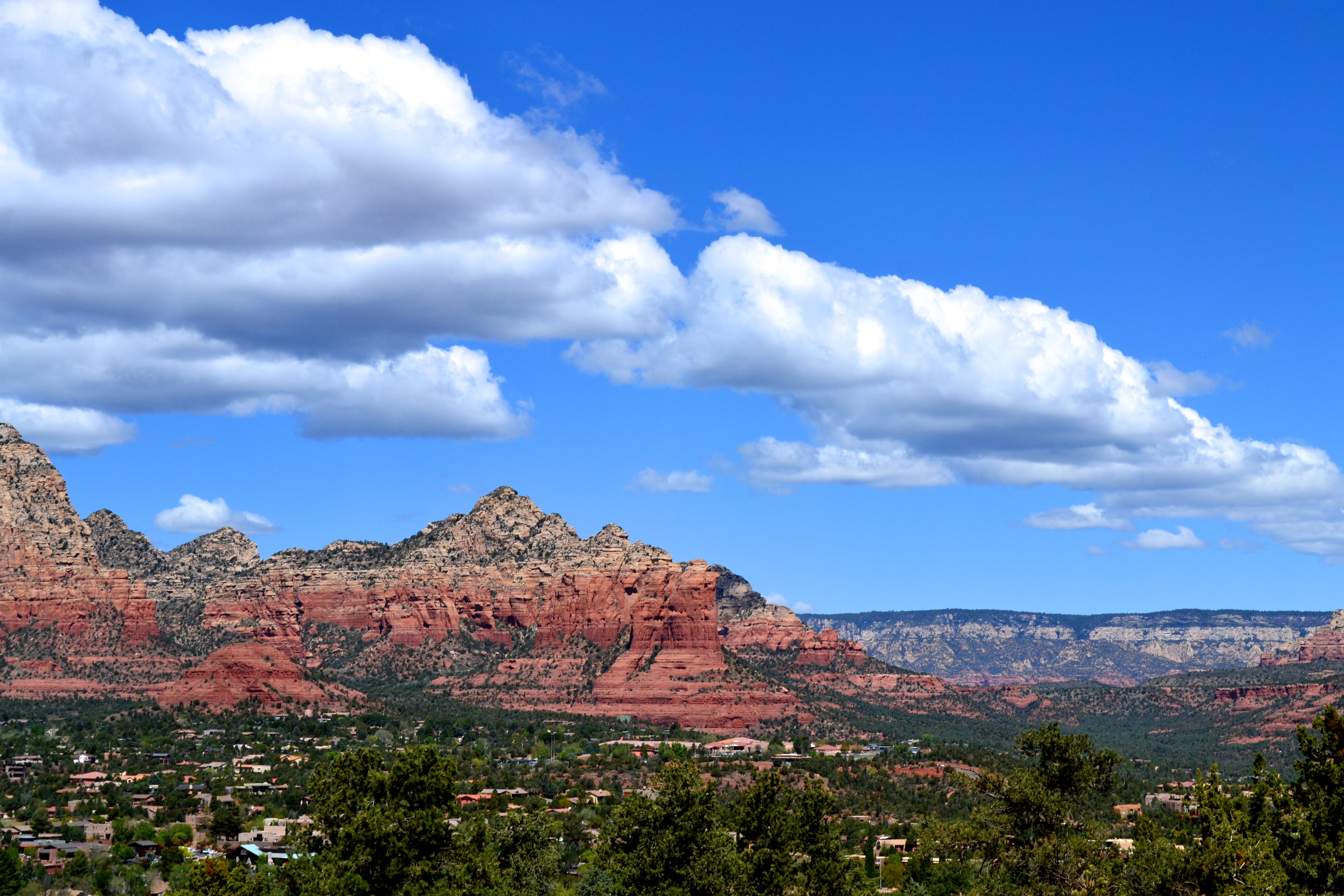 Long Distance Relationship Survival 