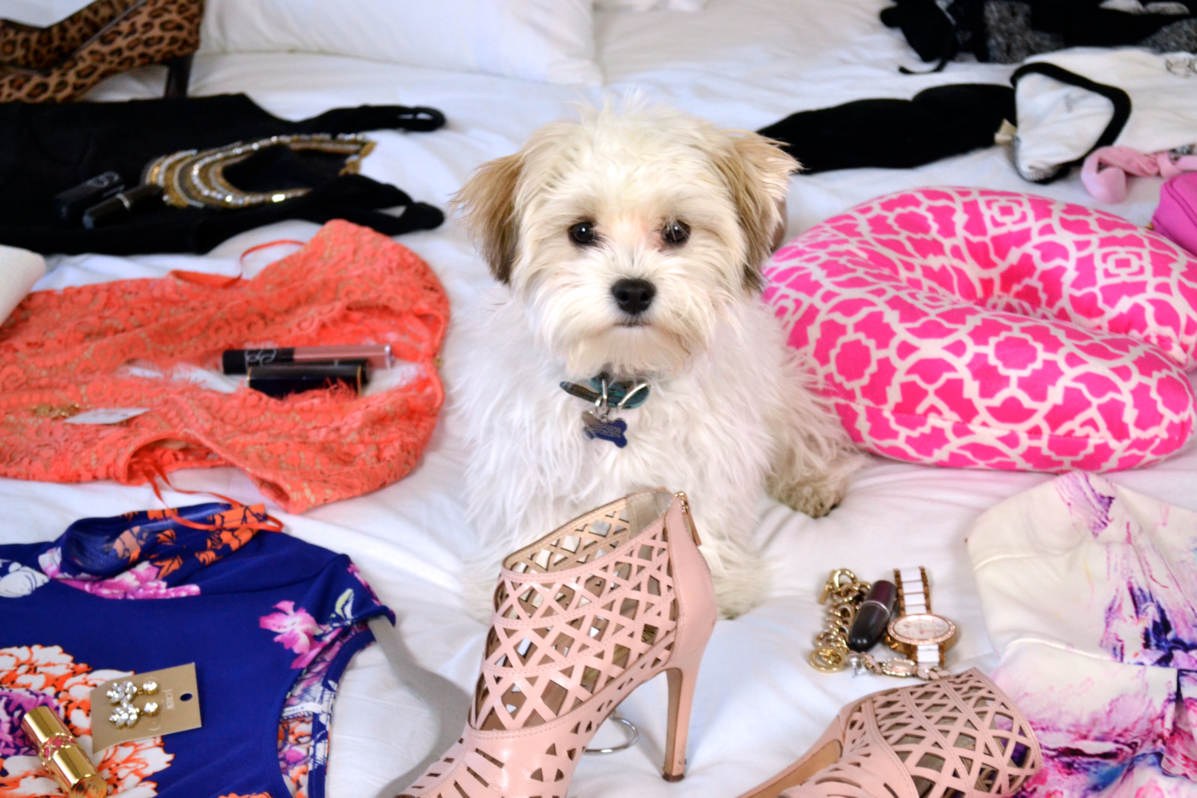 Theodore Messing Up My Piles| How I Pack for a Trip|