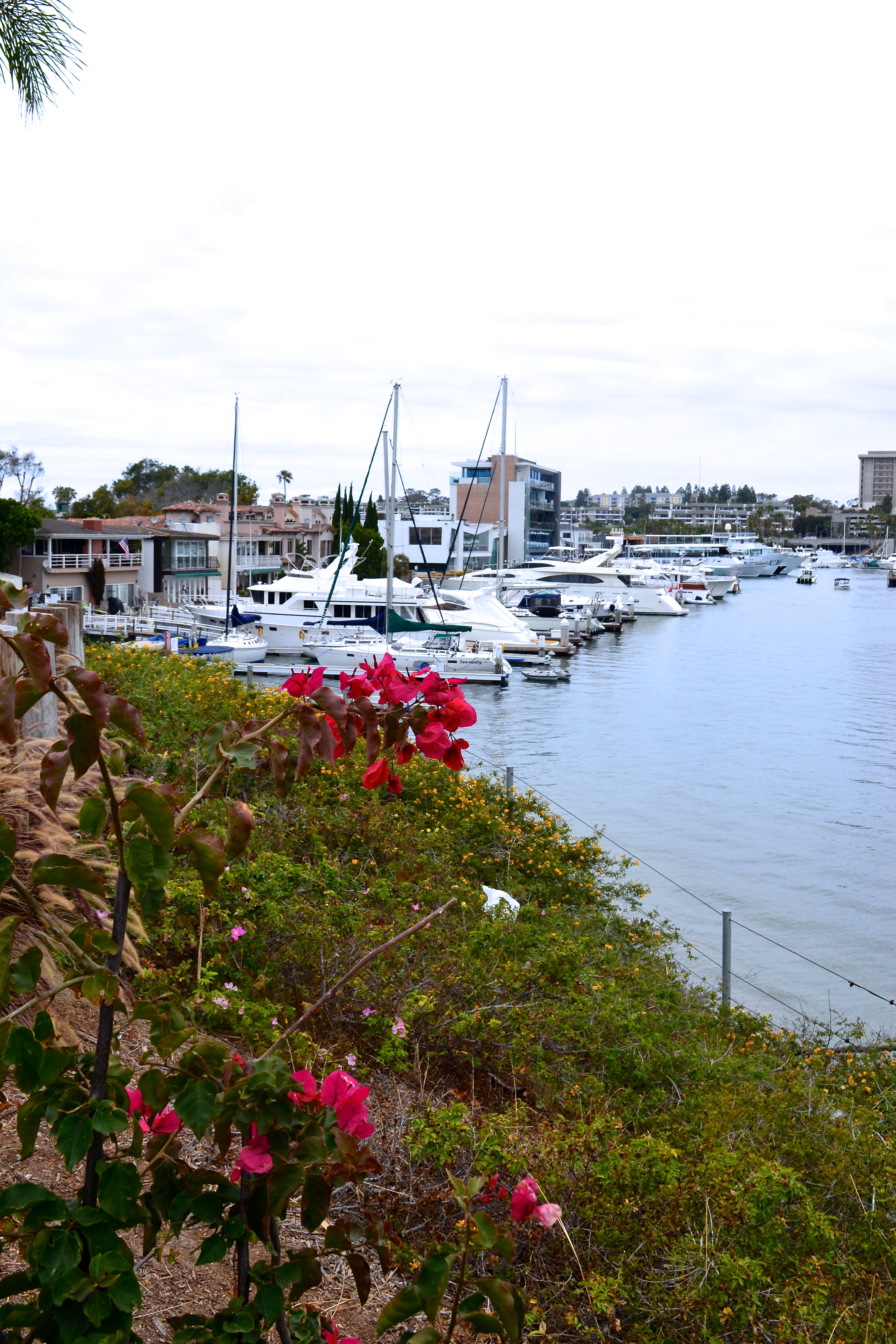 Newport Beach California |Finding Joy in Difficult times|