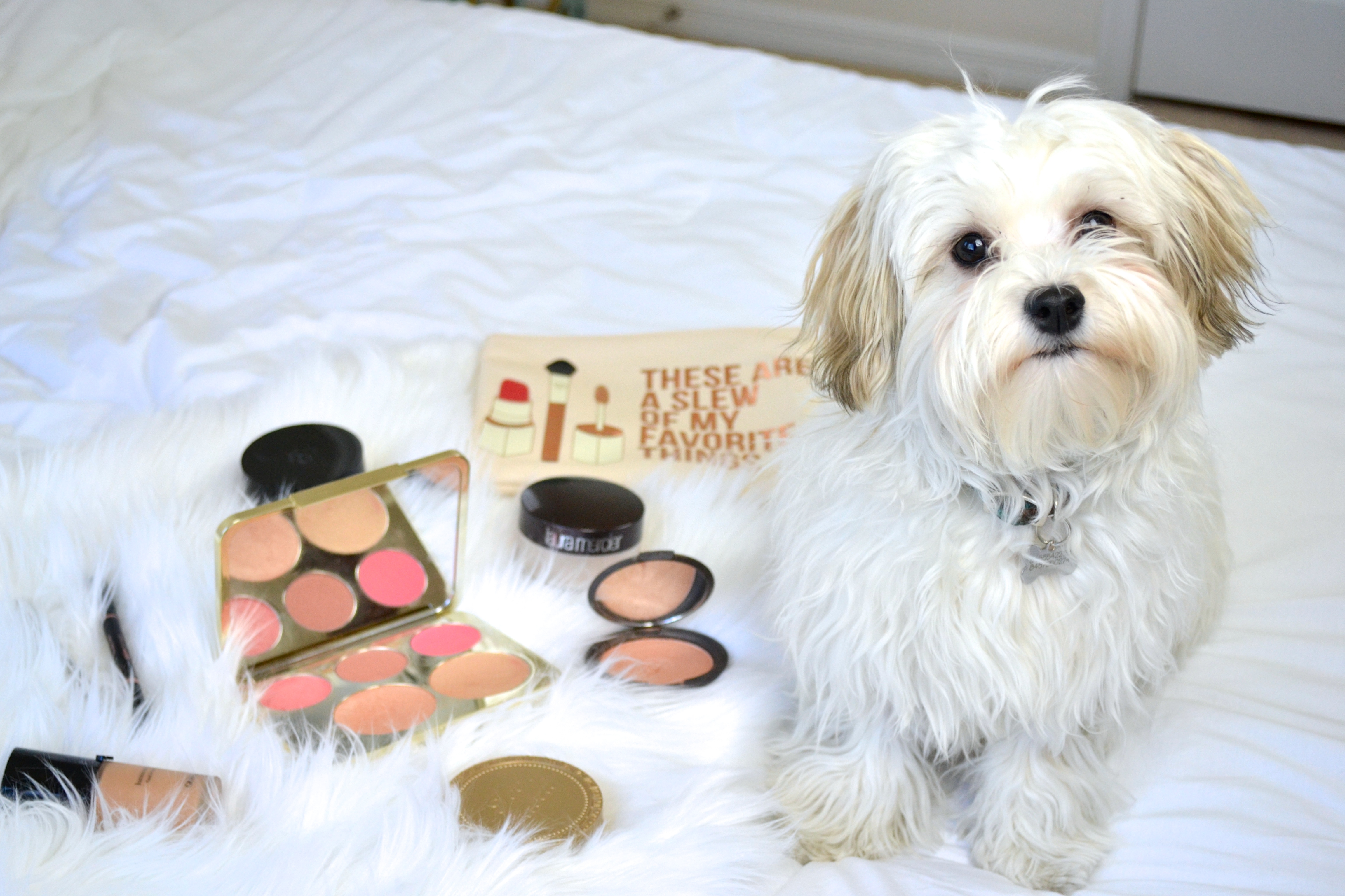 Puppy and Makeup |Makeup Bag Must Haves|