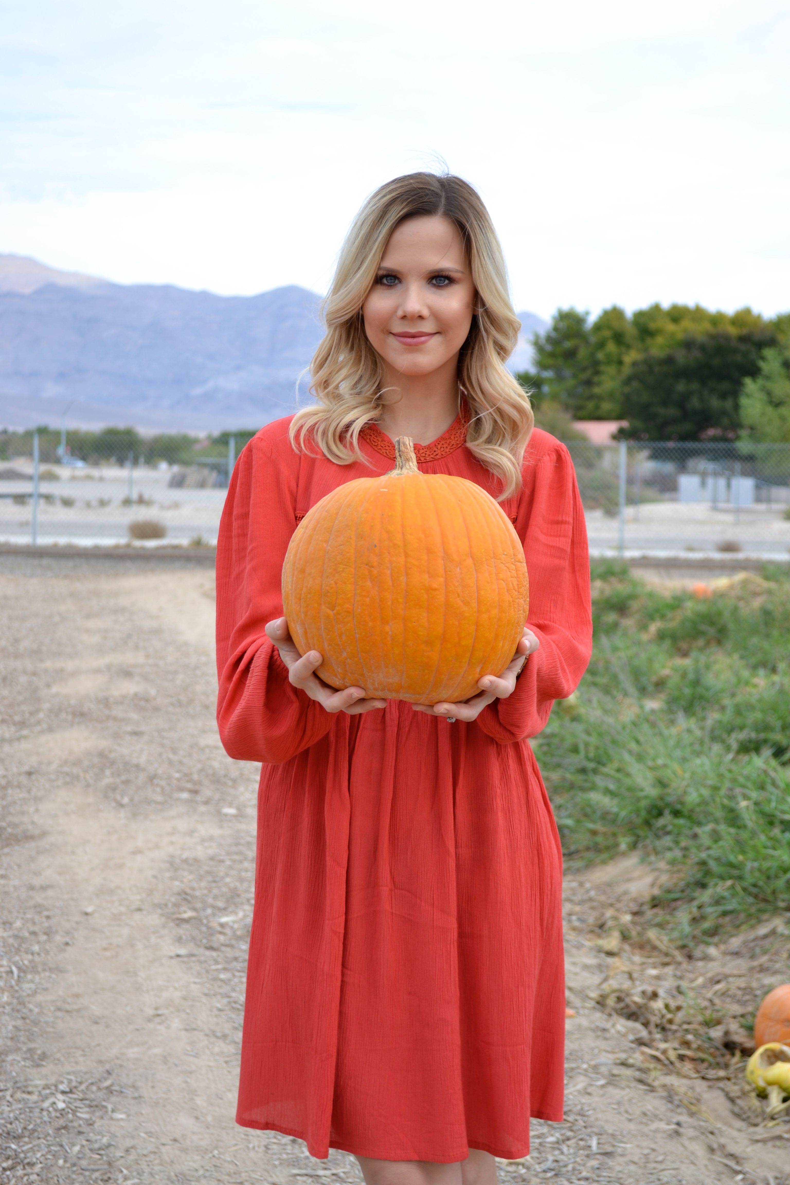 Pumpkin Patch Dress on Glam Life Living 