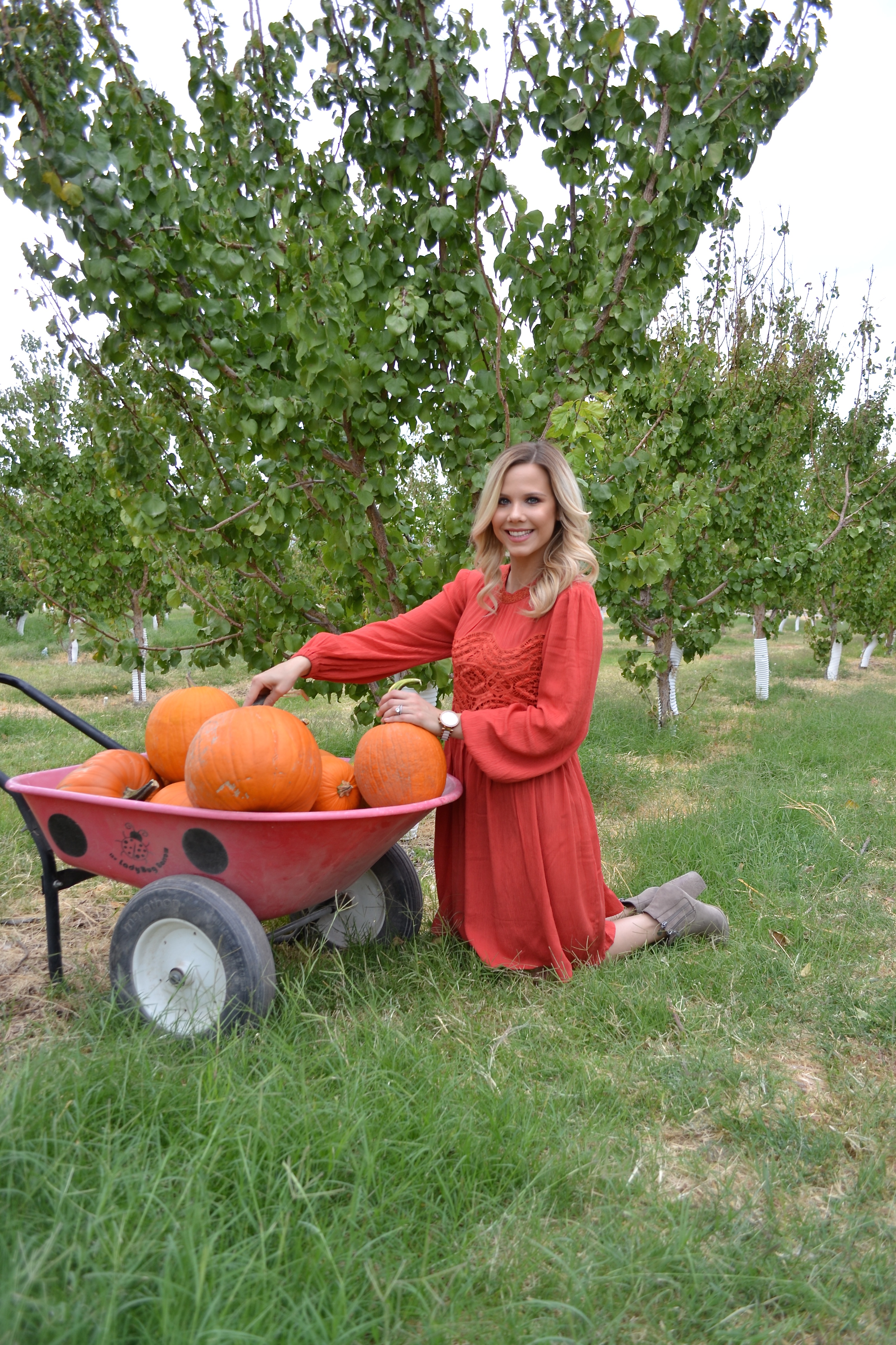 pumpkin picking in long sleeve orange dress on Glam Life Living 