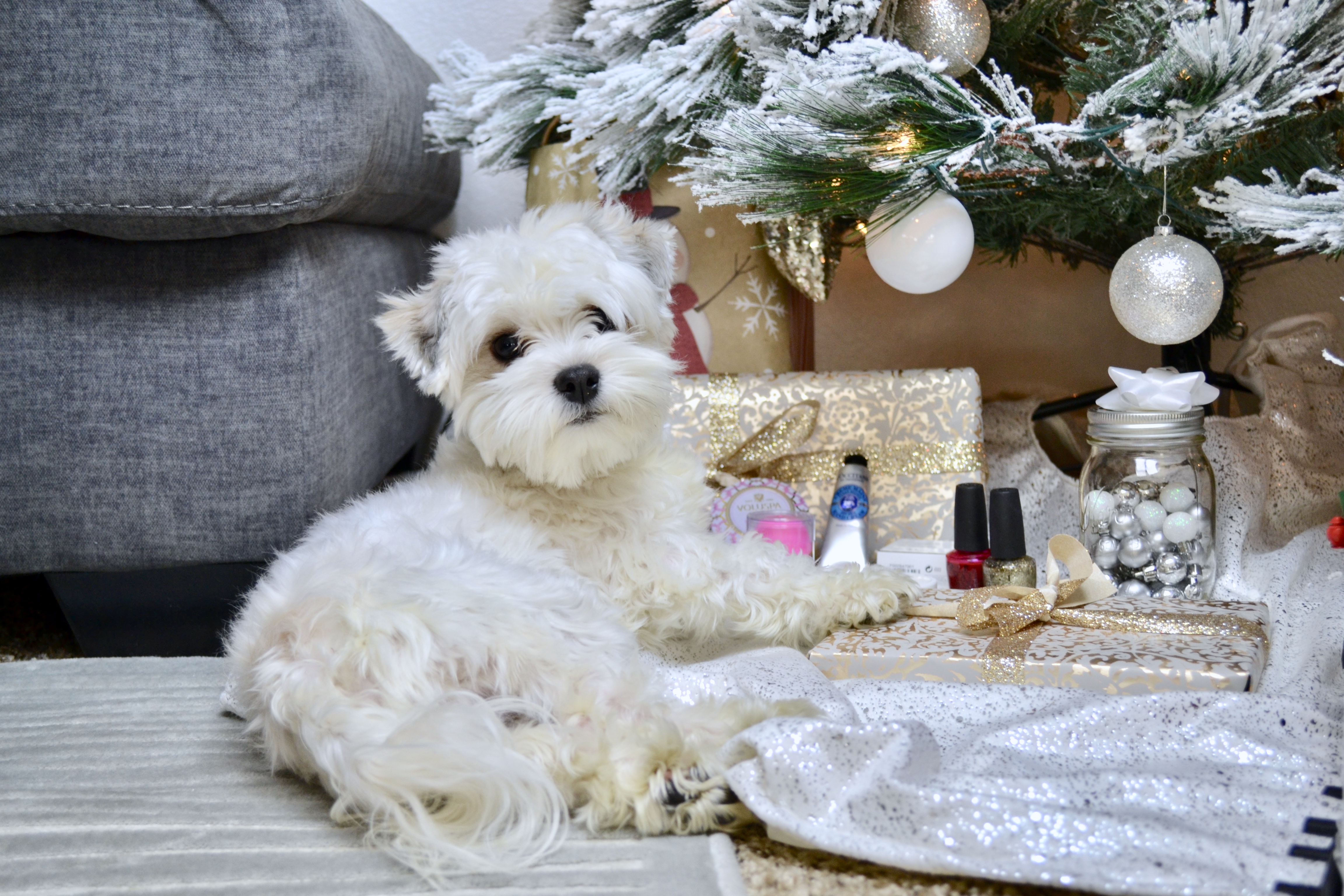 Puppy Under the Tree |Stocking Stuffers for Her|