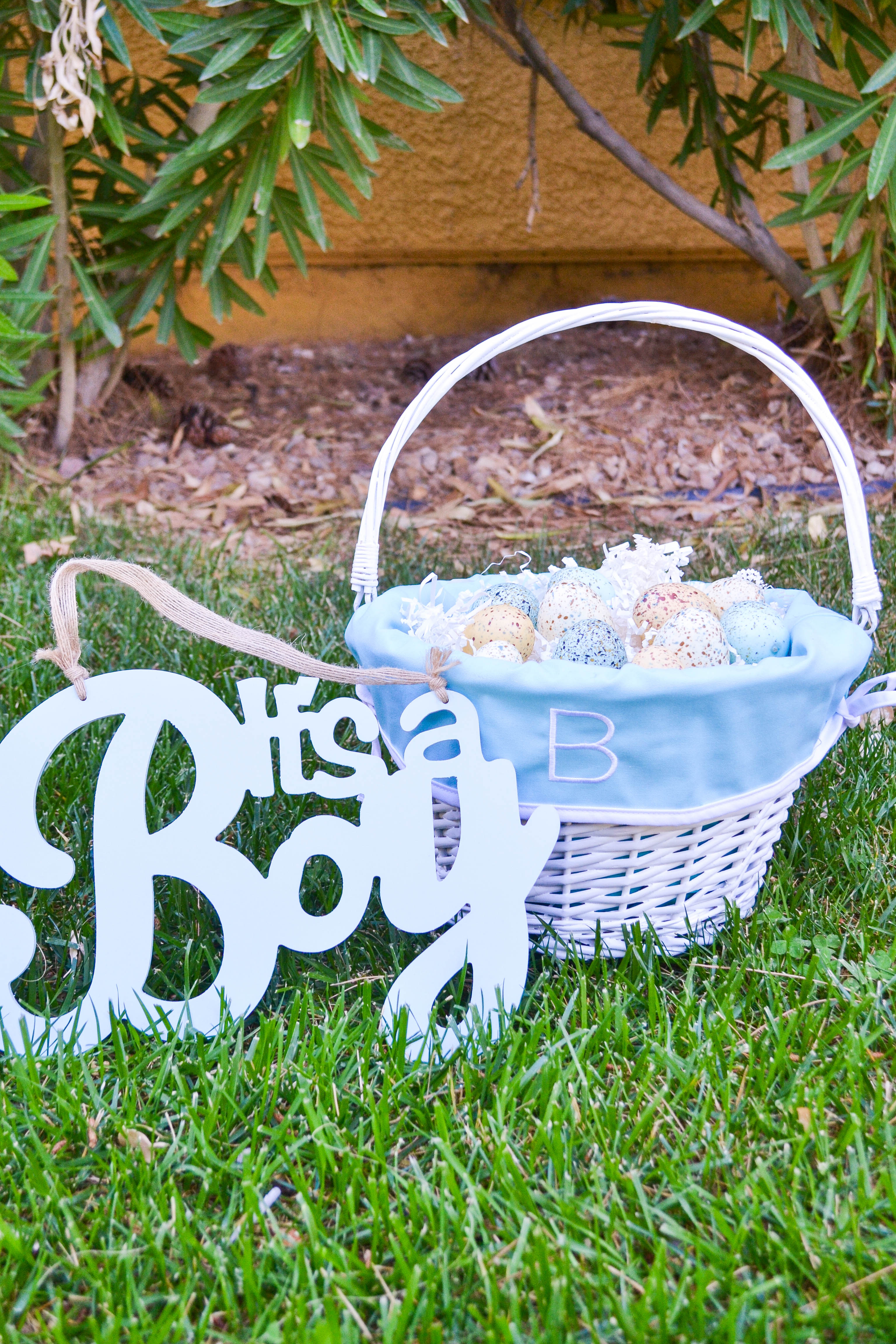 Easter Gender Reveal |blogger mom, pregnancy, gender announcement, gender reveal, baby boy, it's a boy