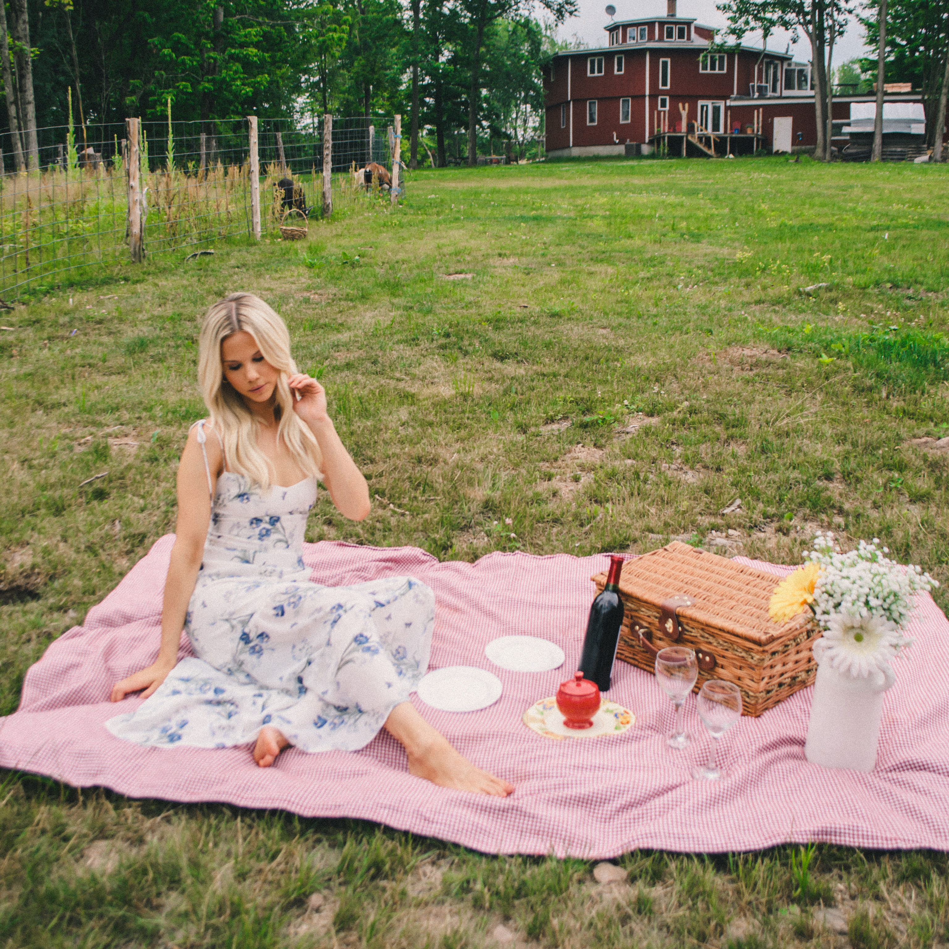 farm picnic style