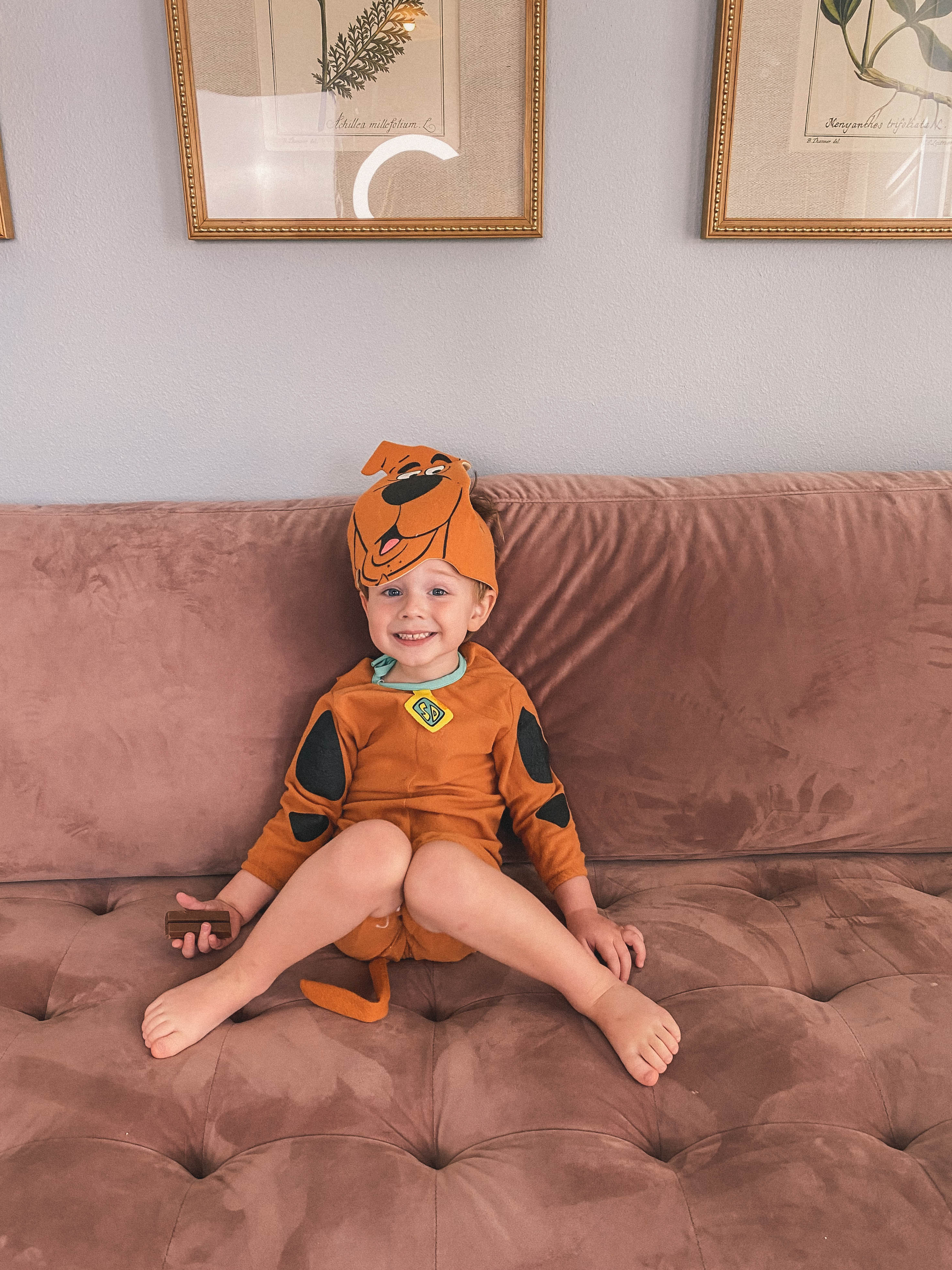 Scooby Doo Kids Costume